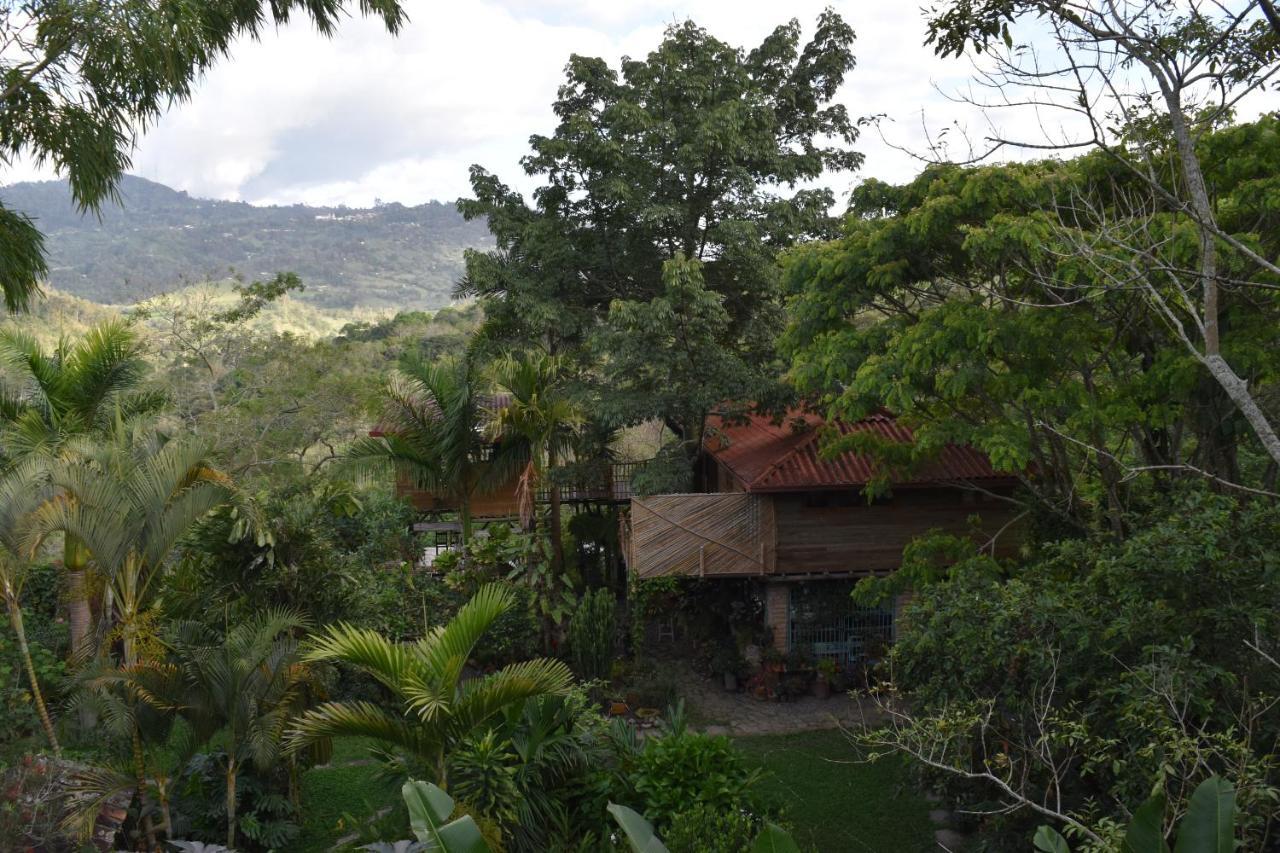 Chalets Huitaca Choachí Dış mekan fotoğraf