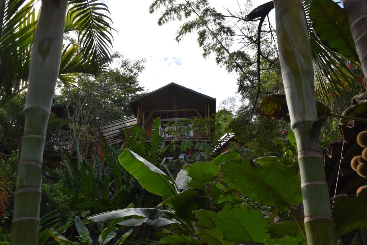 Chalets Huitaca Choachí Dış mekan fotoğraf